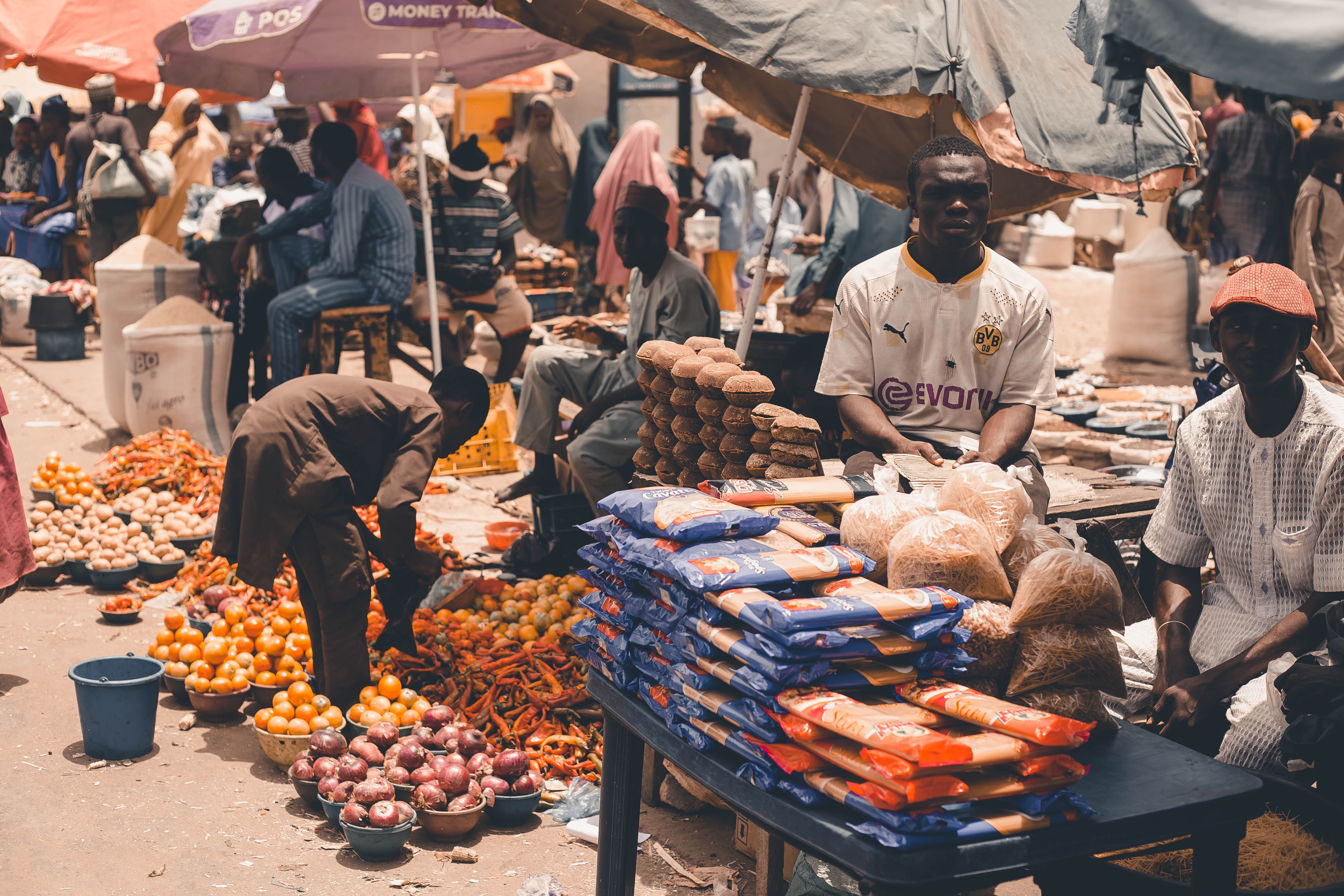 New Harvest Pushes Grain Prices Down Across Bauchi Markets